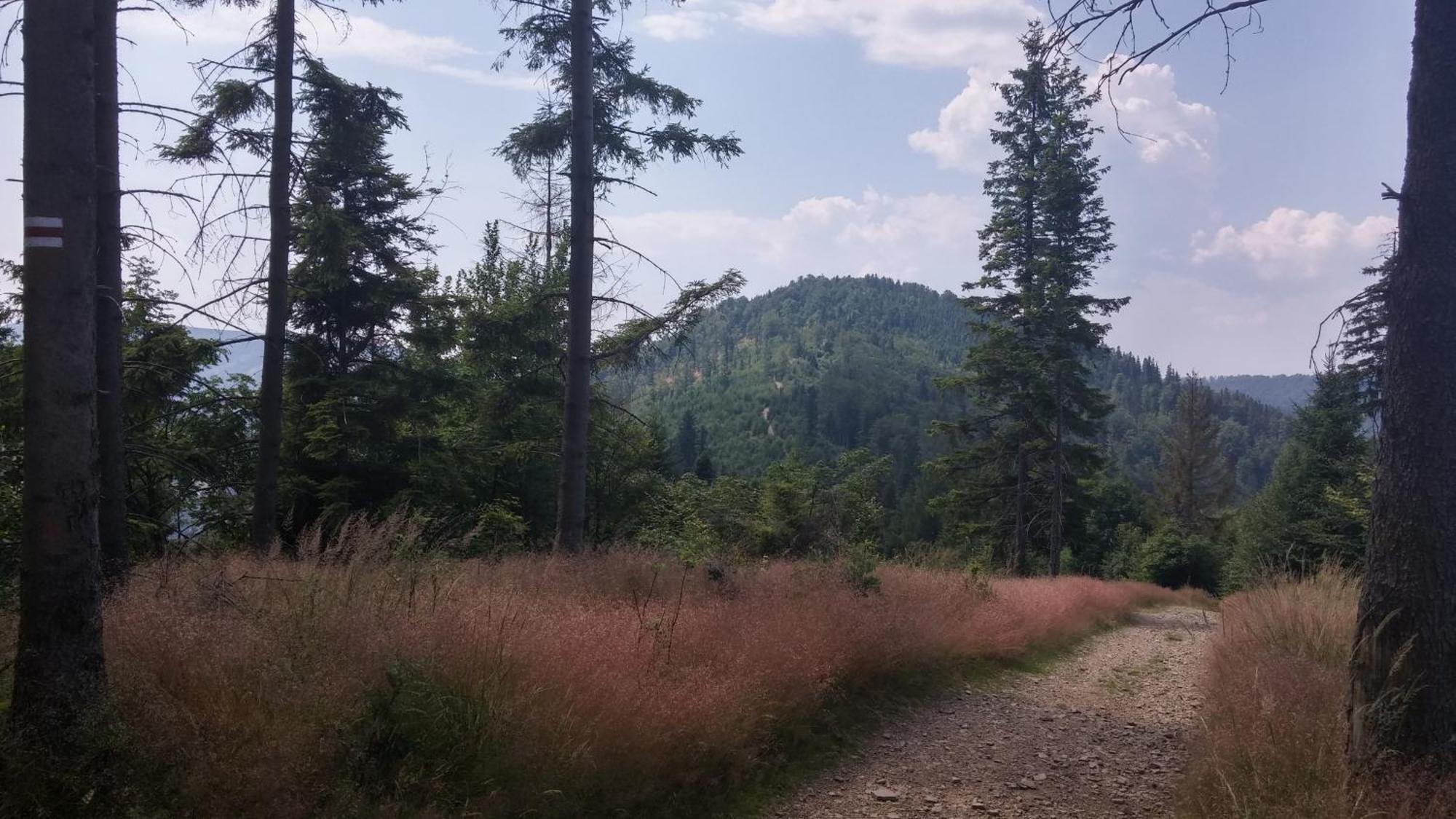 Bed and Breakfast Pod Klimczokiem I Szczyrk Esterno foto