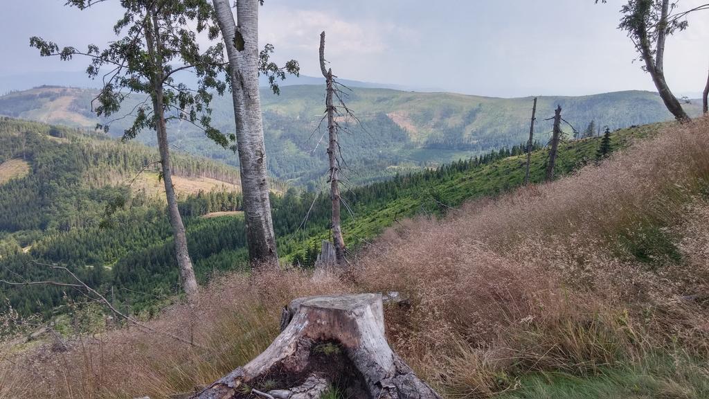 Bed and Breakfast Pod Klimczokiem I Szczyrk Esterno foto